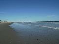 Biddeford (82)